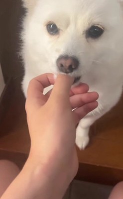 自然に指が口の中へ…