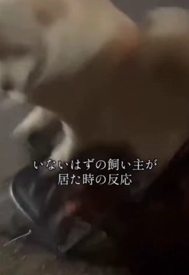 「なんでこんなところに！！」