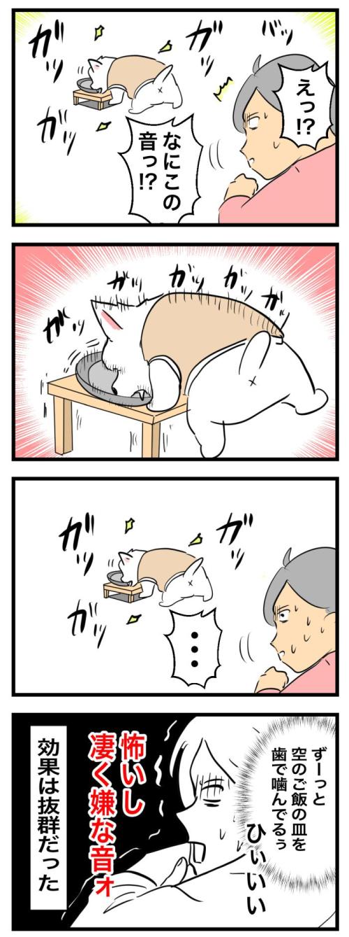 ちーちゃんですけどもっ【第355 話】　2