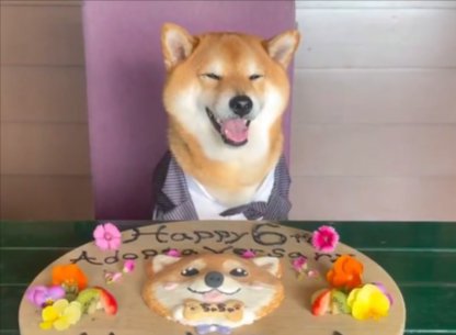 お誕生日