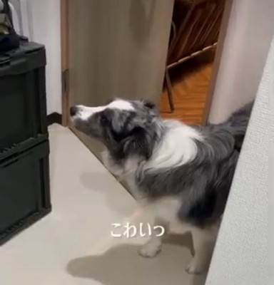 「こわいっ」