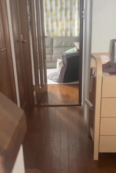 15時間ぶりにベラちゃんと再会