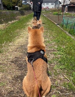 「ママ～！！」