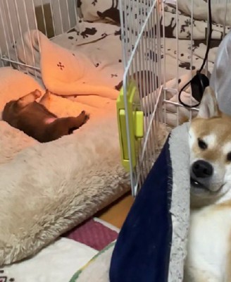 傍らにいたのは…