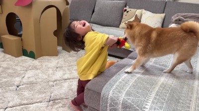 ぬいぐるみを取られた！