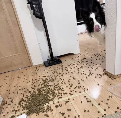 気持ちを落ち着かせないと…