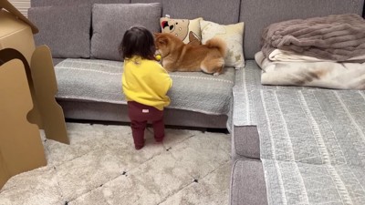 「かーしーて」