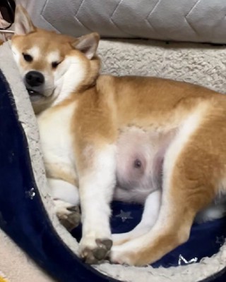 圧迫で顔がむにゅっ