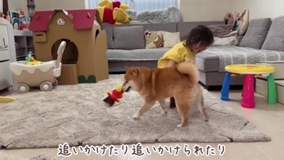 ほのちゃんとうにくん