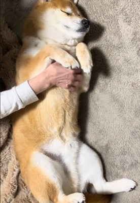 満足そう♡