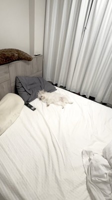 仕事終わり