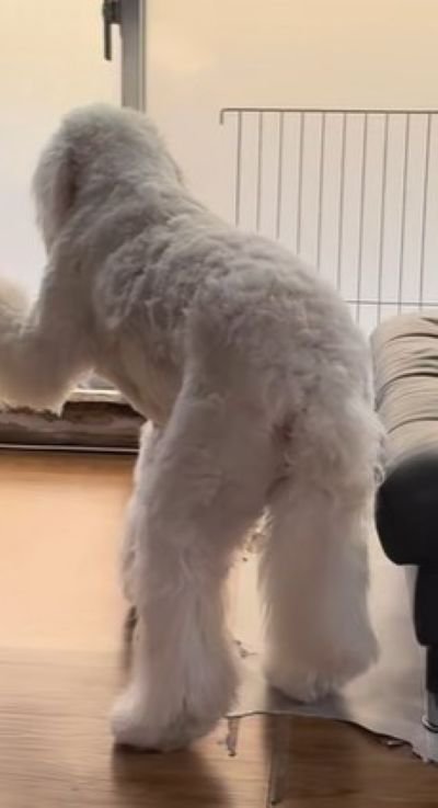 窓の方を向いてフリーズ