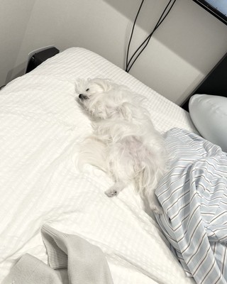 眠る