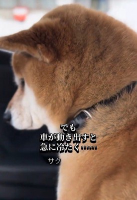 朔くんの態度が一変!