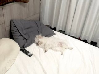 熟睡