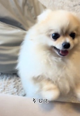 「ママだいすき！！」
