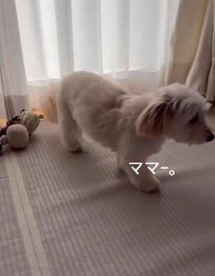 「ママ～」