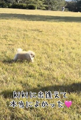 全力ラン！