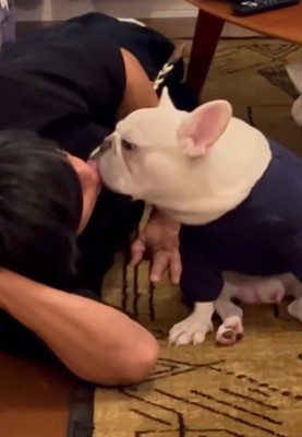 叱られてしまった男の子→拗ねながら、犬に近づいて…慰めるように『背中を貸してあげる光景』が尊いと反響「なんて優しい」「お兄ちゃんみたい」