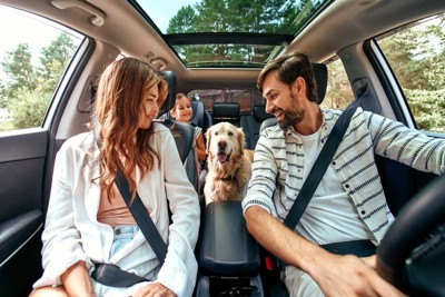 車内の家族と犬