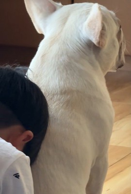 お兄ちゃんかお父さんのよう…!