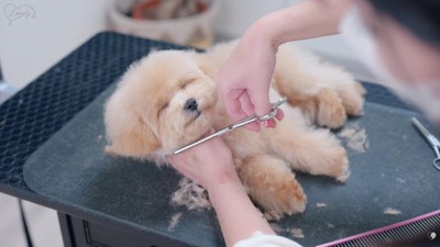 笑顔で寝ちゃった！？