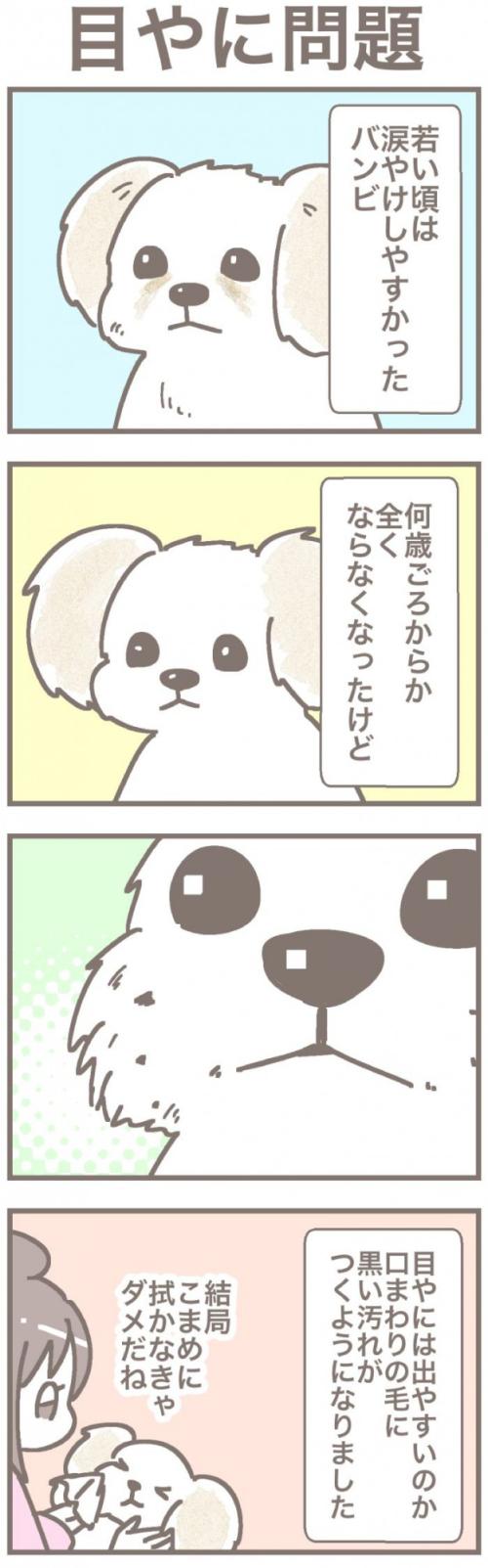 うちの王様にはどうしても抗えない【第351話】