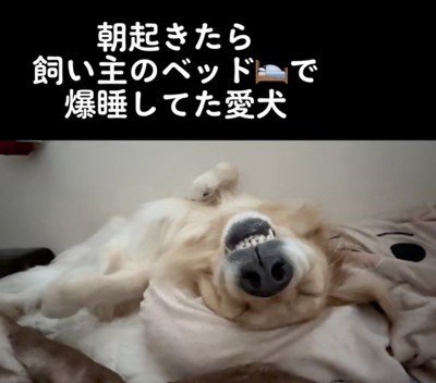 警戒度0％！
