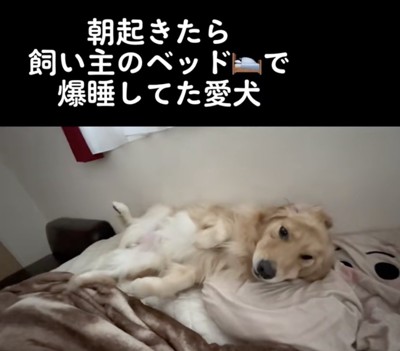 「！？」