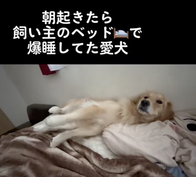 のびぃ〜！