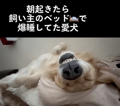 最高の表情ｗ