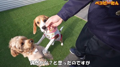 押しのけています(笑)
