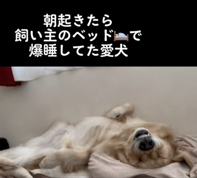 ZZZ…