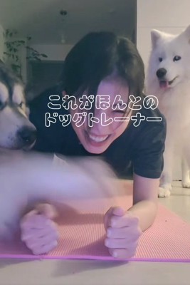 筋トレ中の女性→隣で『大型犬』が…まさかの『スパルタすぎる光景』が37万再生「本当のドッグトレーナーで草」「笑ってさらに引き締まるｗｗ」