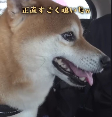 頑張ったよ！！