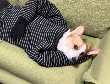閣下