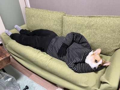 シュール