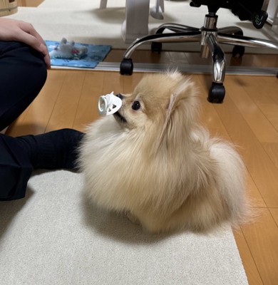 あざとい
