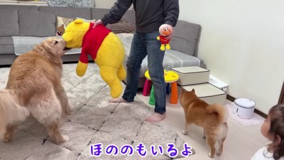 「はやく!!」