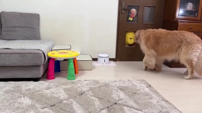 ぬいぐるみが戻ってきた!