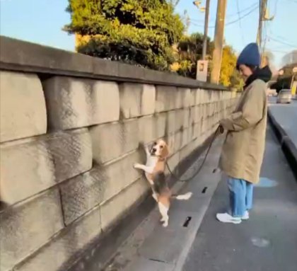 お友だち