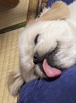 ピンク
