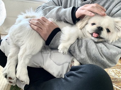 にぱっ