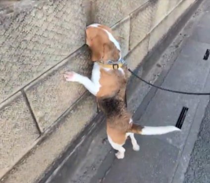 一つ一つ