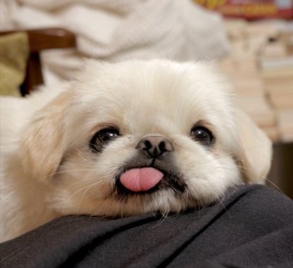 あざと