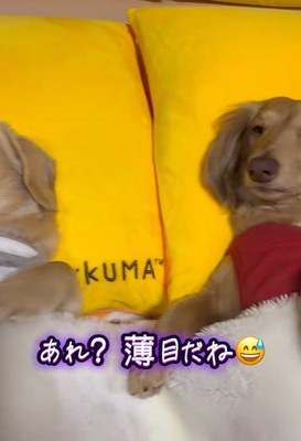 隣にいるらいらちゃんは…?