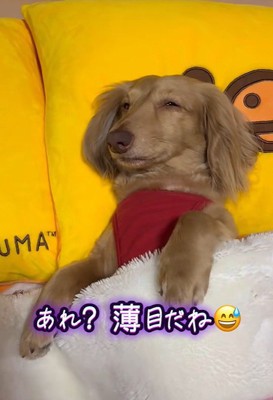 薄目を開けています!