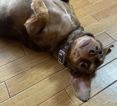 無防備