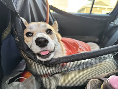車内