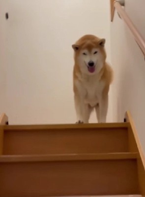 「上がってきてくれてありがと♡」